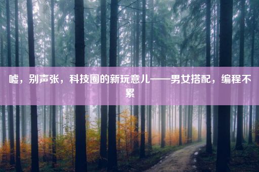 嘘，别声张，科技圈的新玩意儿——男女搭配，编程不累