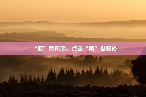 “菇”舞风潮，点击“菌”世骇俗