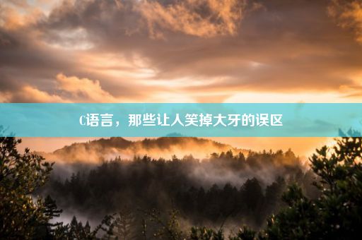C语言，那些让人笑掉大牙的误区