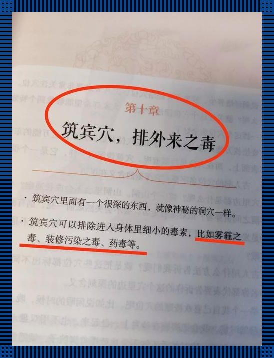 《大爷排毒记》：科技江湖的奇异新篇章