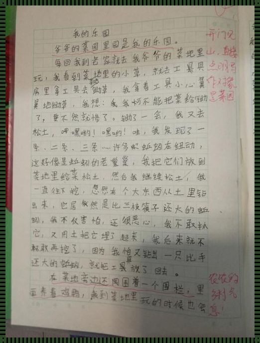 “晓畅萌萌，打赌科技圈，谁料反成笑谈？”