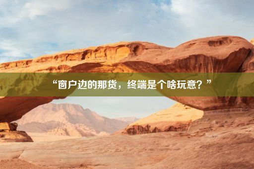 “窗户边的那货，终端是个啥玩意？”