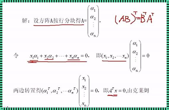 “浪子”行列式，线性无关的“嬉皮笑脸”