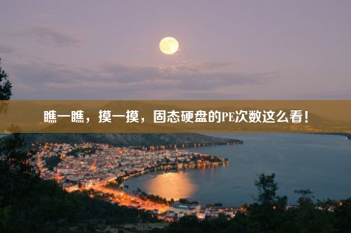 瞧一瞧，摸一摸，固态硬盘的PE次数这么看！