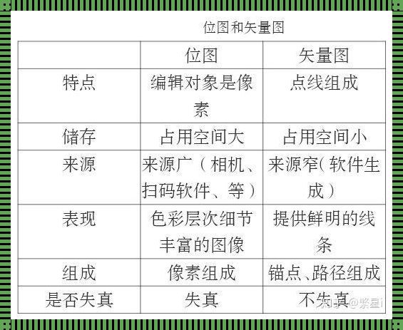 看图识“途”：位图狂欢，矢量图优雅