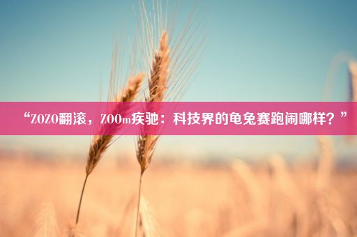 “ZOZO翻滚，ZOOm疾驰：科技界的龟兔赛跑闹哪样？”