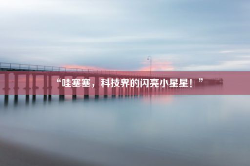 “哇塞塞，科技界的闪亮小星星！”