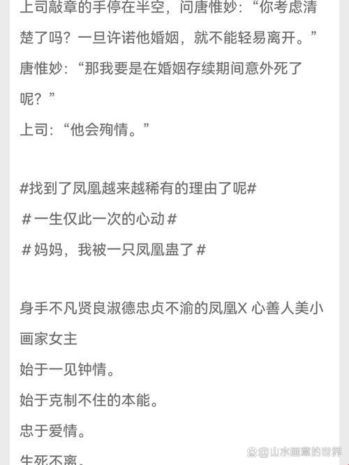 《双子星•宠魅秘史：网界传奇另类翻篇》