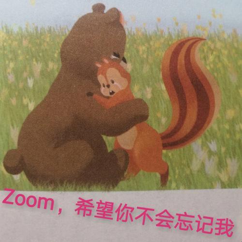 “喵了个咪的‘Zoom’！你竟然和这些小可爱们同名？”