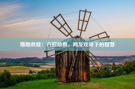 婚姻救赎：六招险棋，网友戏谑下的智慧