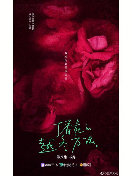 《丁香的秘密：观影界的“谜”团探幽》