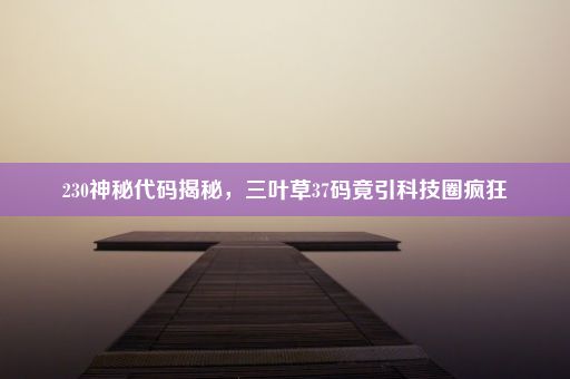 230神秘代码揭秘，三叶草37码竟引科技圈疯狂