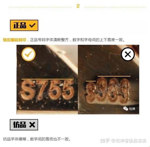 "四叶草大小号"辨识攻略：科技创新下的趣味探索
