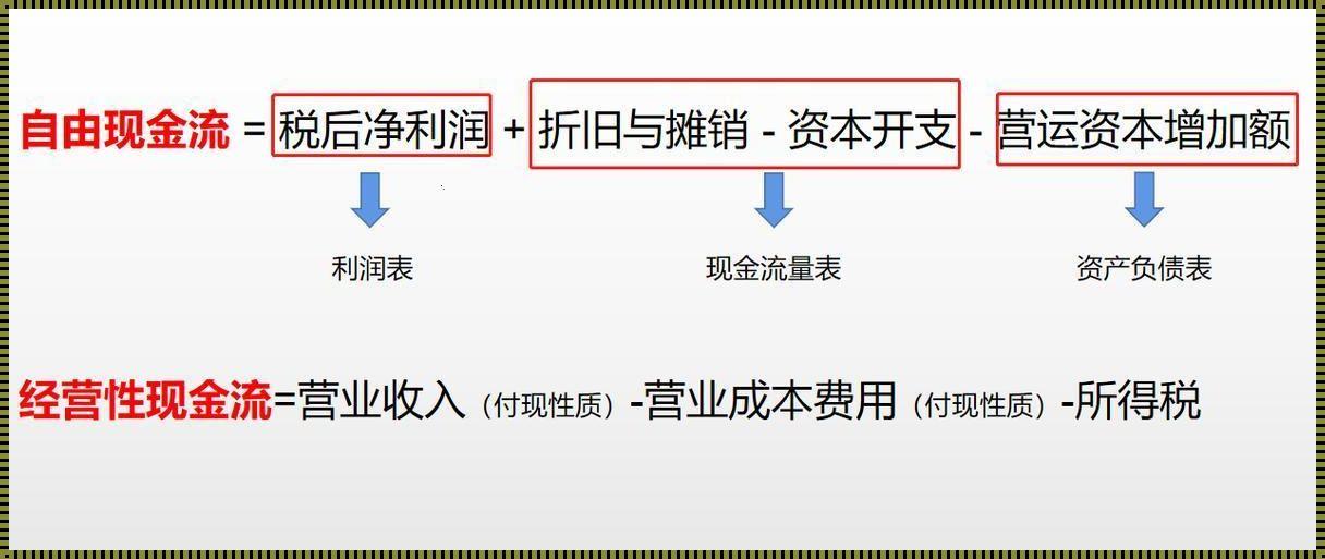 Python人马大战，辣眼睛的全球狂欢！