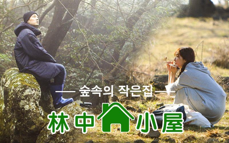 狂野深林，小屋奇缘！记录狂飙，科技炸裂！