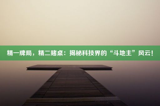 精一牌局，精二赌桌：揭秘科技界的“斗地主”风云！