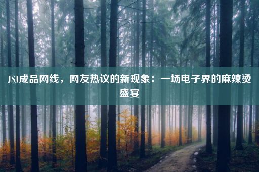JSJ成品网线，网友热议的新现象：一场电子界的麻辣烫盛宴