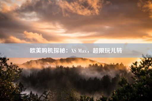 欧美购机探秘：XS Max，超限玩儿转