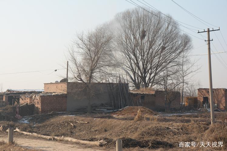 农野Java大作战：笑谈网友奇谈妙论